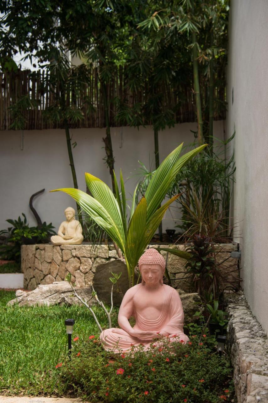 פלאייה דל כרמן Ocean Zen Suites On 5Th Avenue - Adults Only מראה חיצוני תמונה