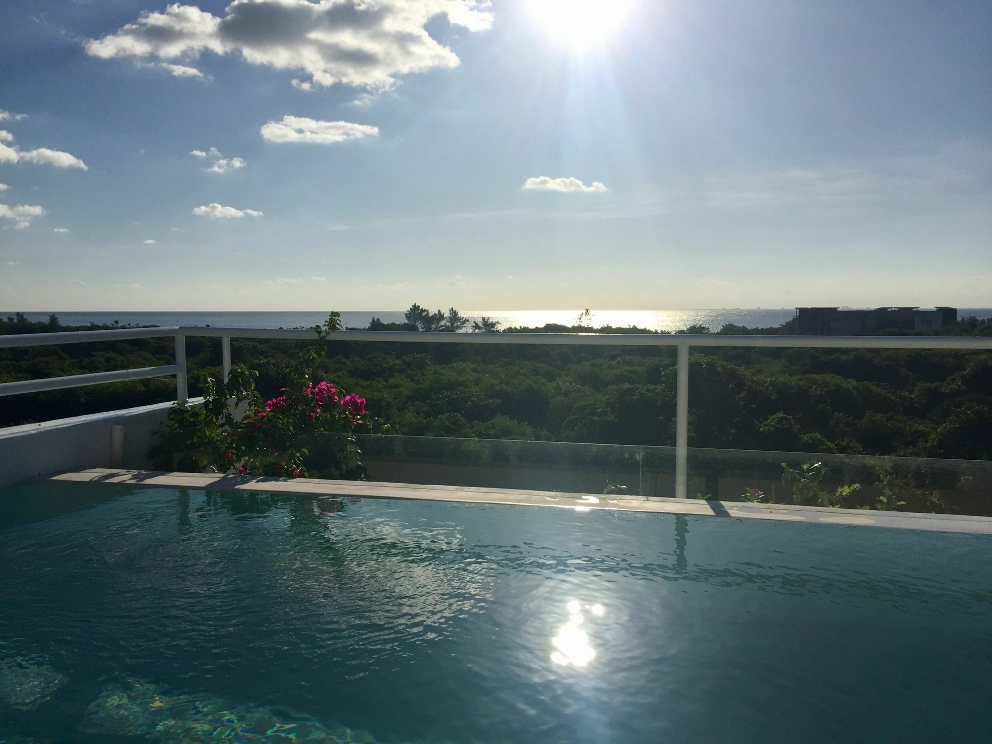 פלאייה דל כרמן Ocean Zen Suites On 5Th Avenue - Adults Only מראה חיצוני תמונה